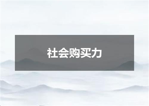 社会购买力