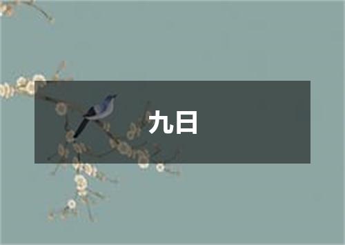九日