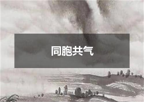 同胞共气
