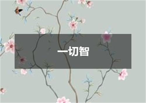 一切智