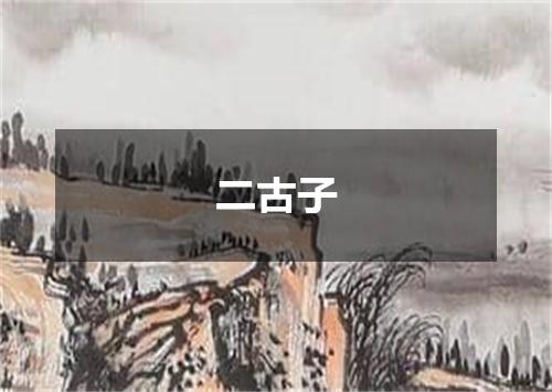 二古子