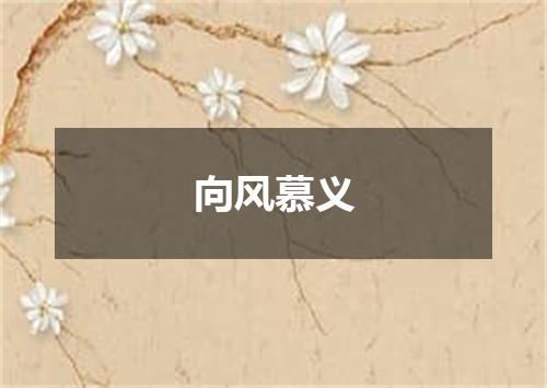 向风慕义