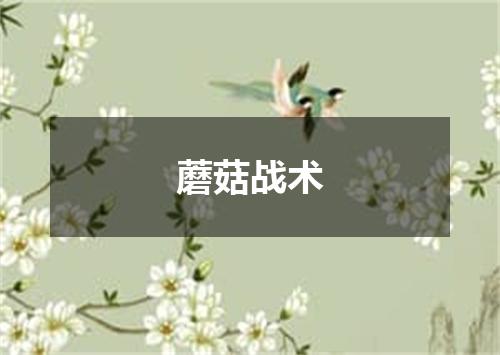 蘑菇战术