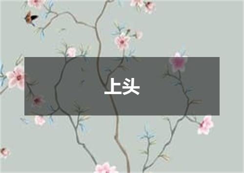 上头