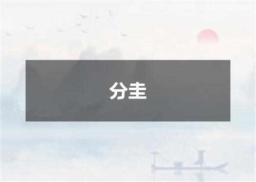 分圭
