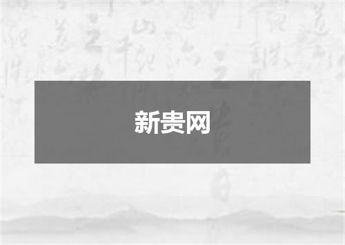 新贵网