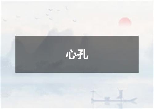 心孔