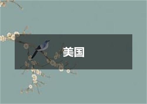美国