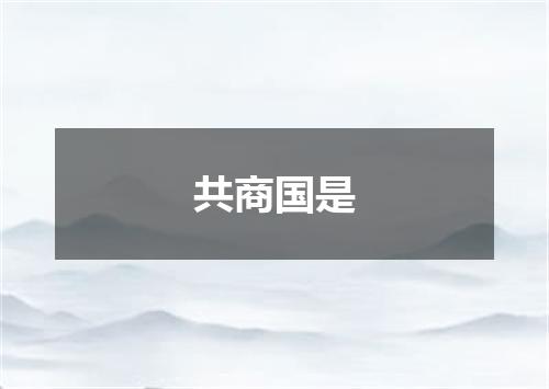 共商国是