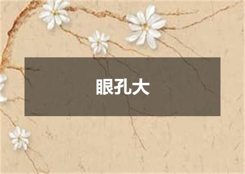 眼孔大
