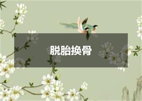 脱胎换骨