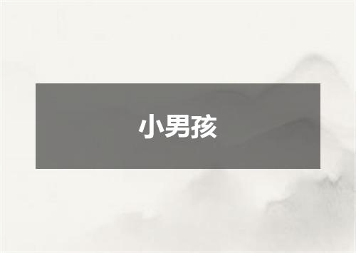 小男孩