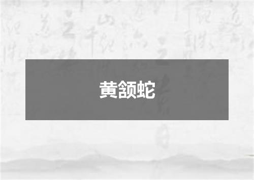 黄颔蛇