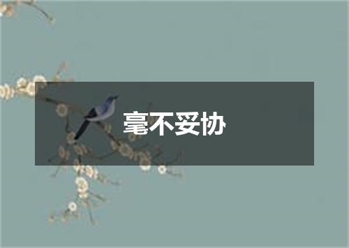 毫不妥协