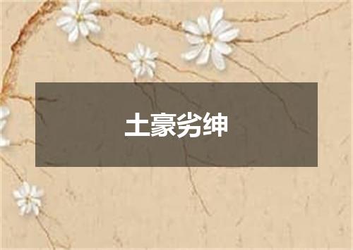 土豪劣绅