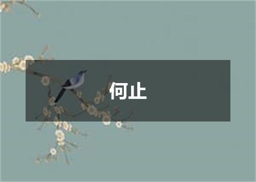 何止