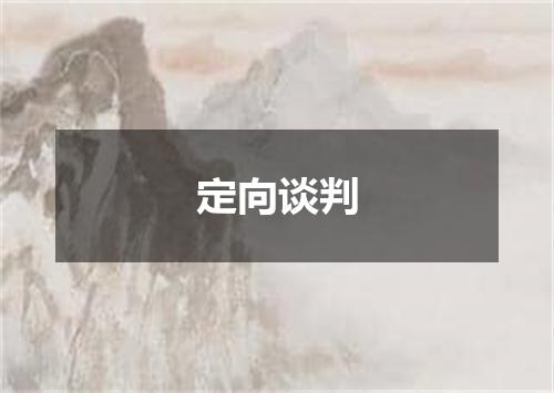 定向谈判