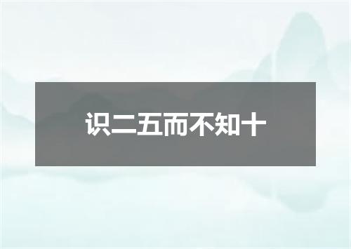识二五而不知十
