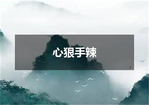 心狠手辣