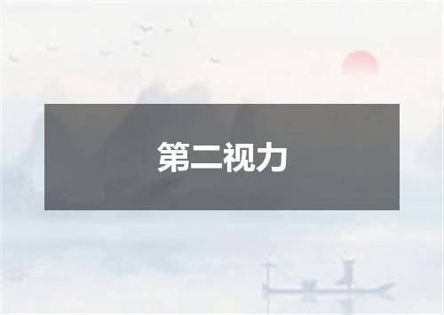 第二视力