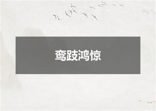 鸾跂鸿惊