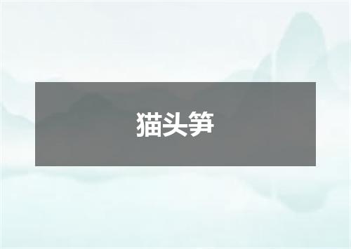 猫头笋