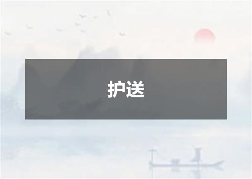 护送