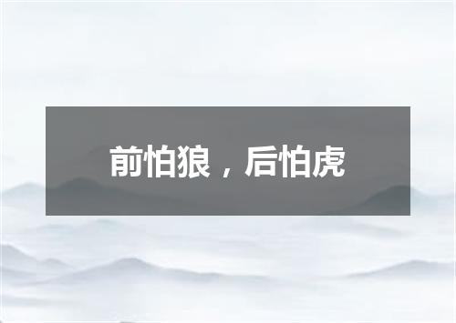 前怕狼，后怕虎