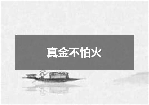 真金不怕火