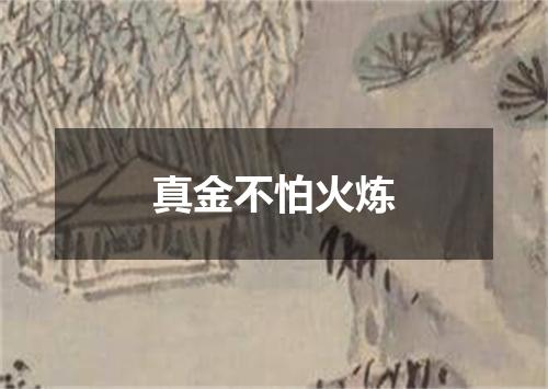 真金不怕火炼