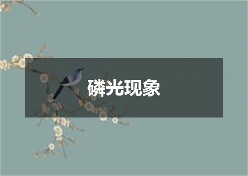 磷光现象