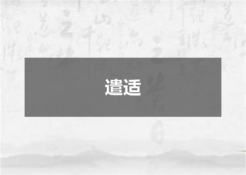 遣适
