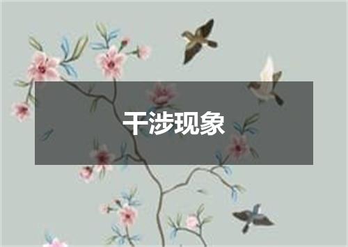 干涉现象