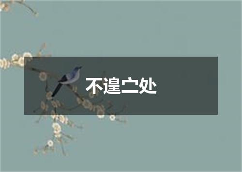 不遑㝉处