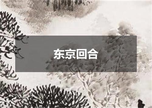 东京回合