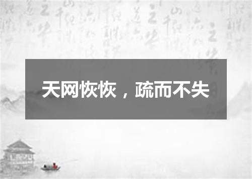 天网恢恢，疏而不失