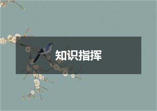 知识指挥