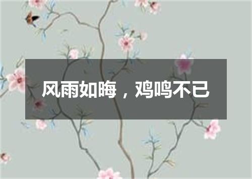 风雨如晦，鸡鸣不已