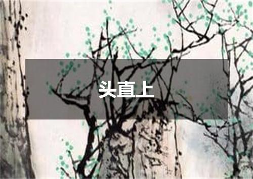 头直上