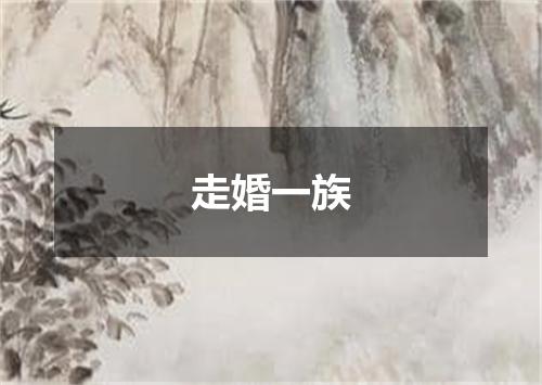 走婚一族