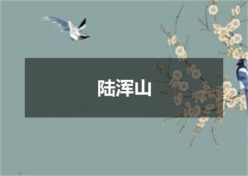 陆浑山