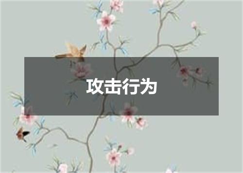 攻击行为