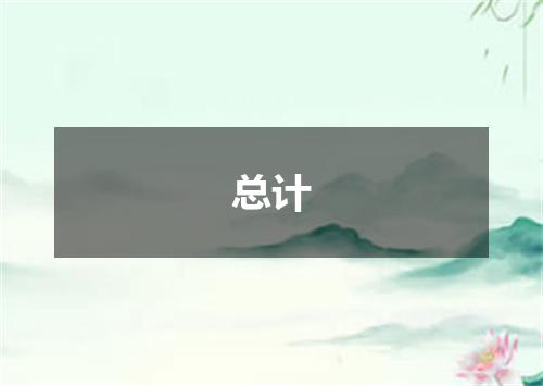 总计