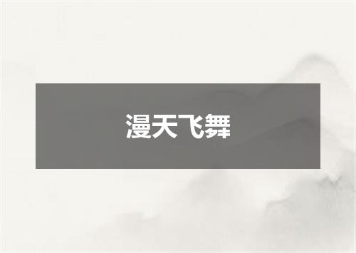 漫天飞舞