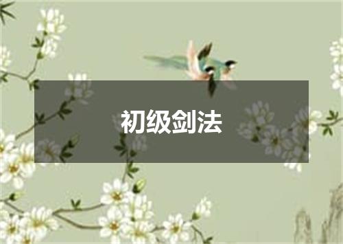 初级剑法