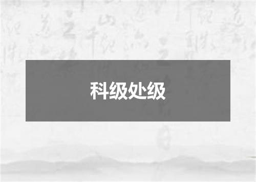 科级处级