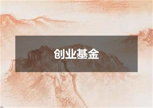 创业基金