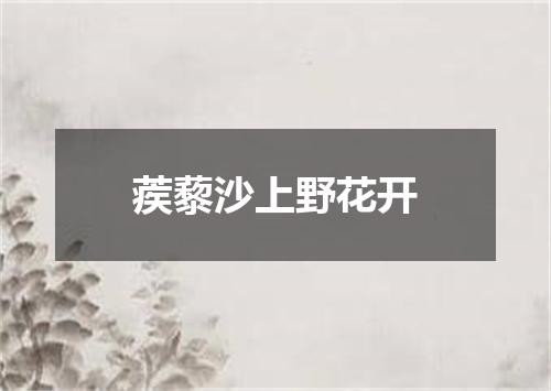 蒺藜沙上野花开