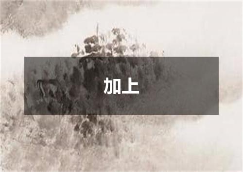 加上