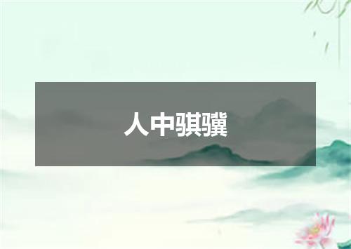 人中骐骥